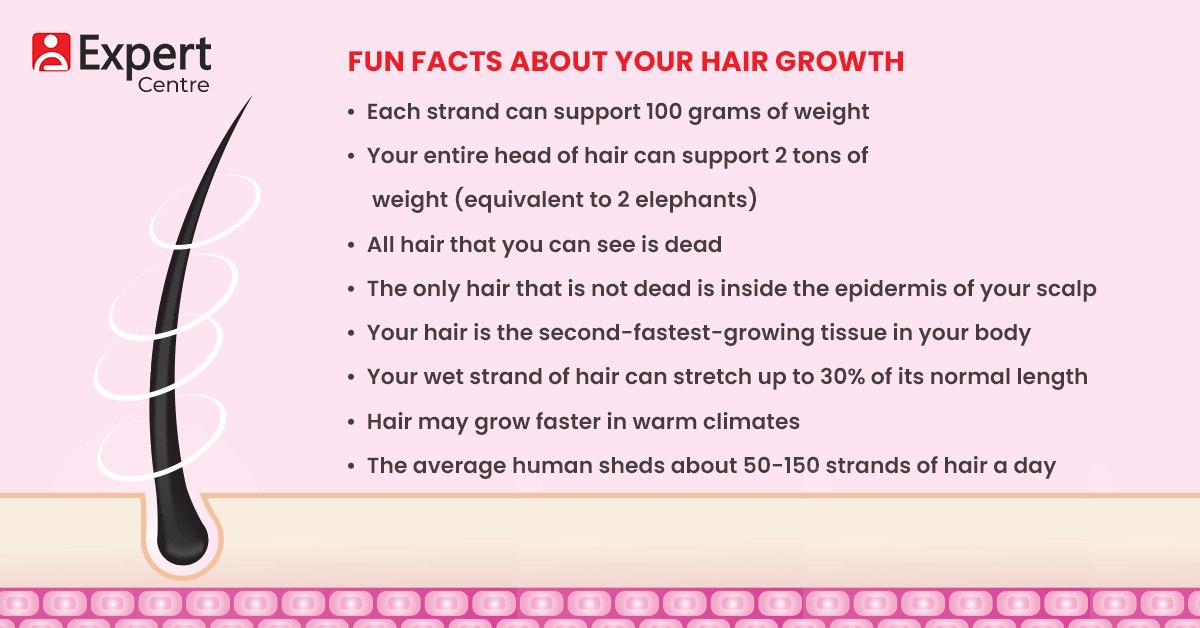 Facts About Hair Growth